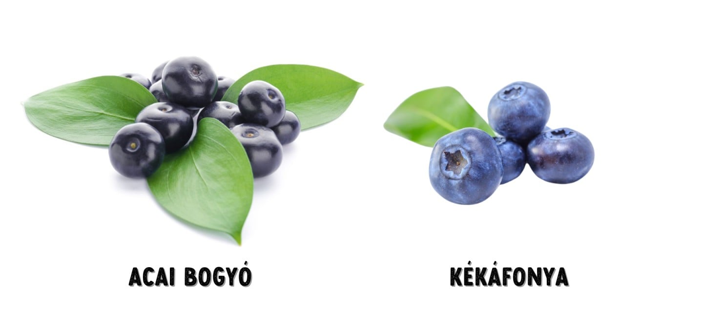 acai vs kékáfonya