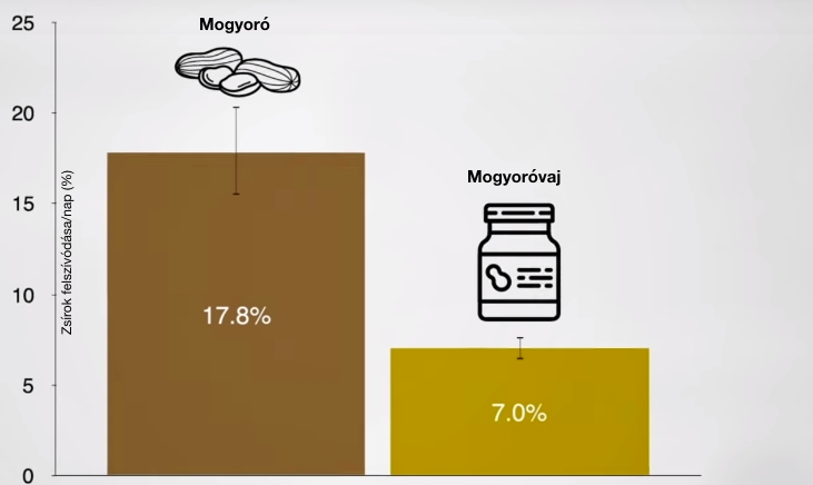 Hogyan válassz gabonapelyhet