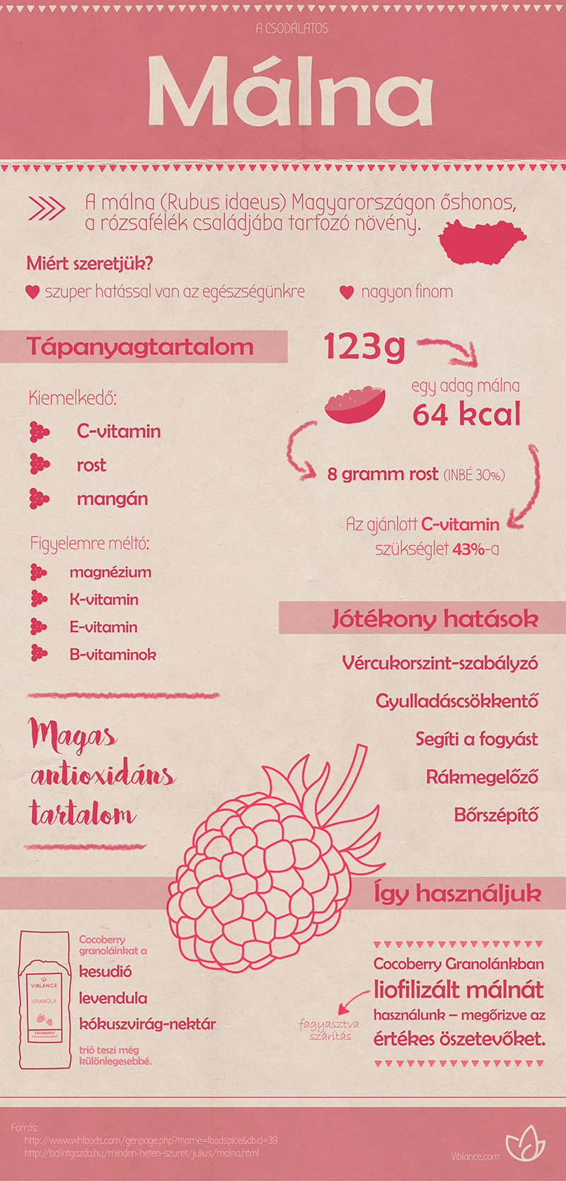 viblance liofilizált gyümölcs