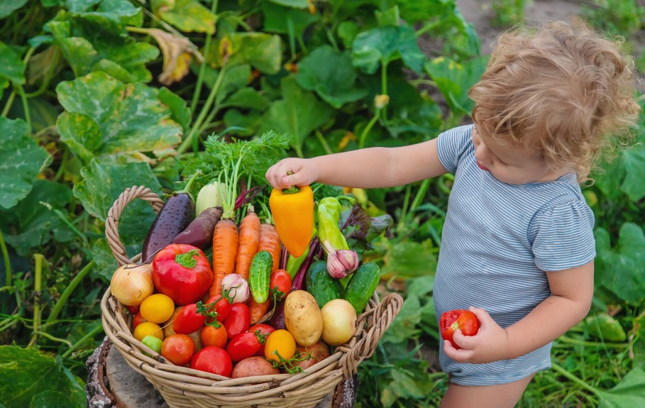 vegan kid